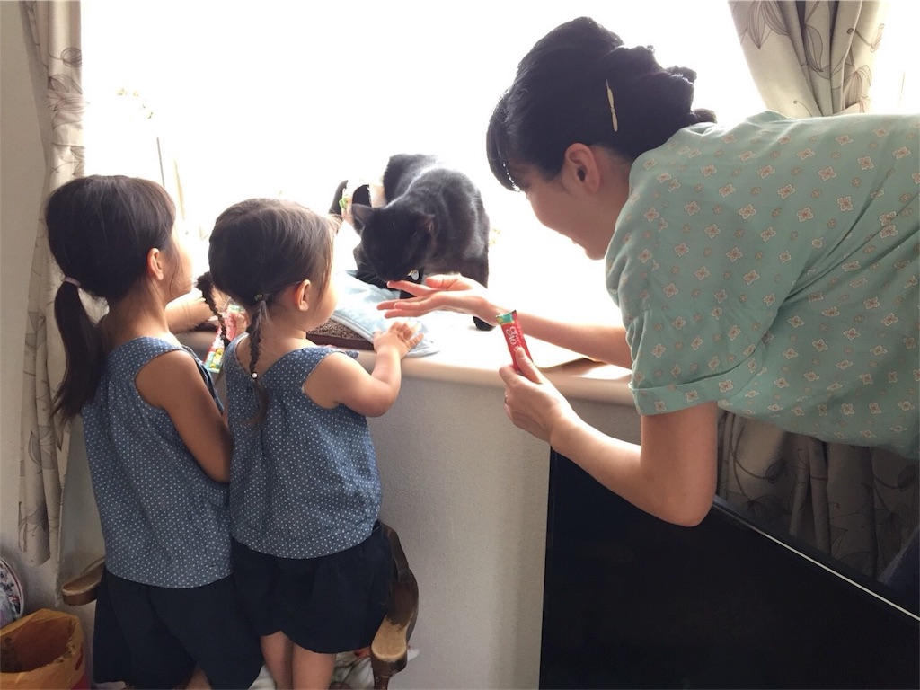 f:id:nekobacafe:20180902115402j:image