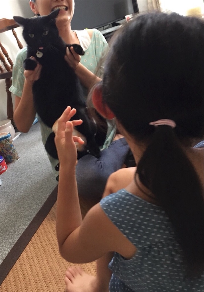 f:id:nekobacafe:20180902115615j:image