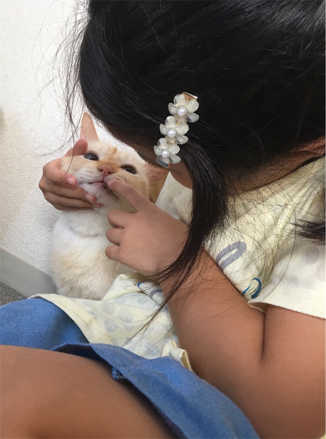 f:id:nekobacafe:20181008050545j:image