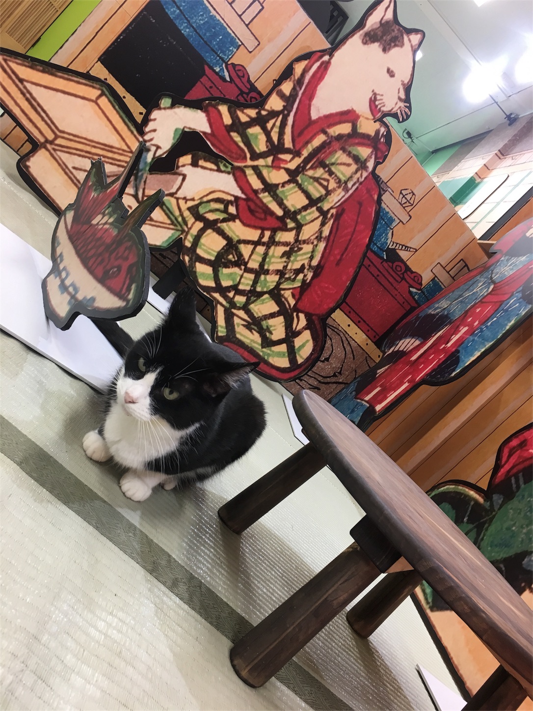 f:id:nekobacafe:20181011204651j:image