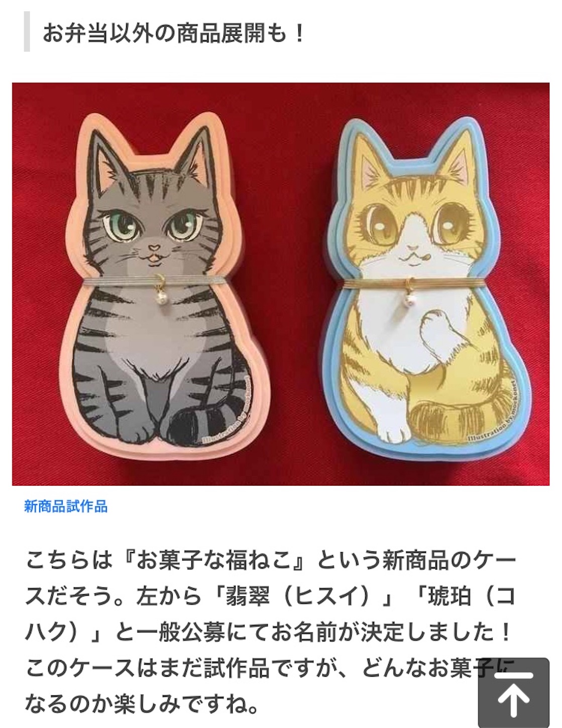f:id:nekobacafe:20181028143854j:image