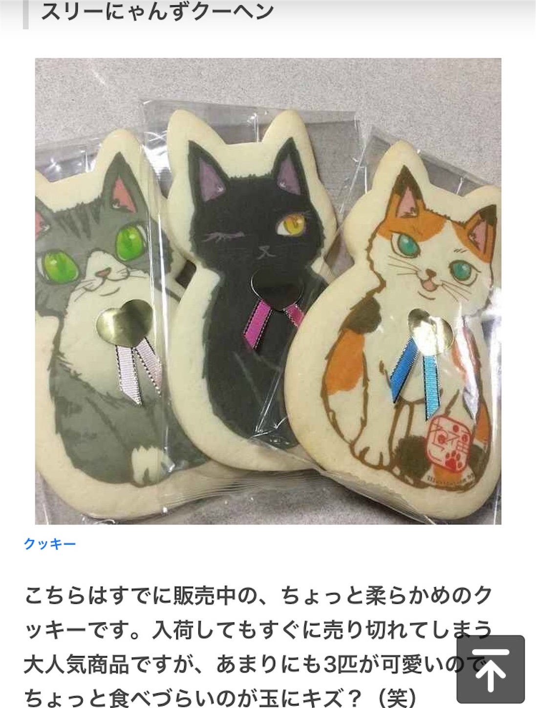 f:id:nekobacafe:20181028144307j:image