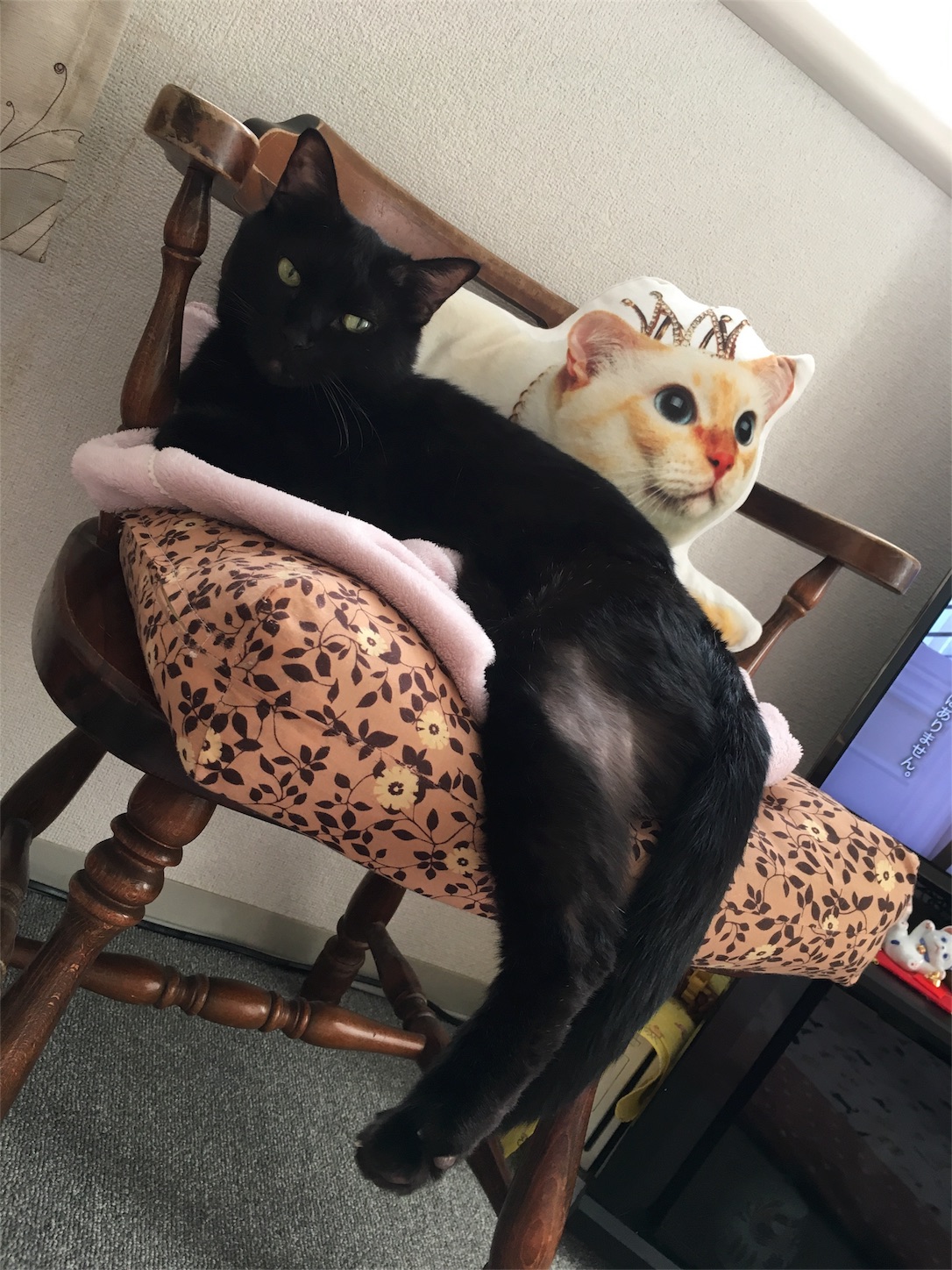 f:id:nekobacafe:20181030192246j:image f:id:nekobacafe:20181030192246j:image