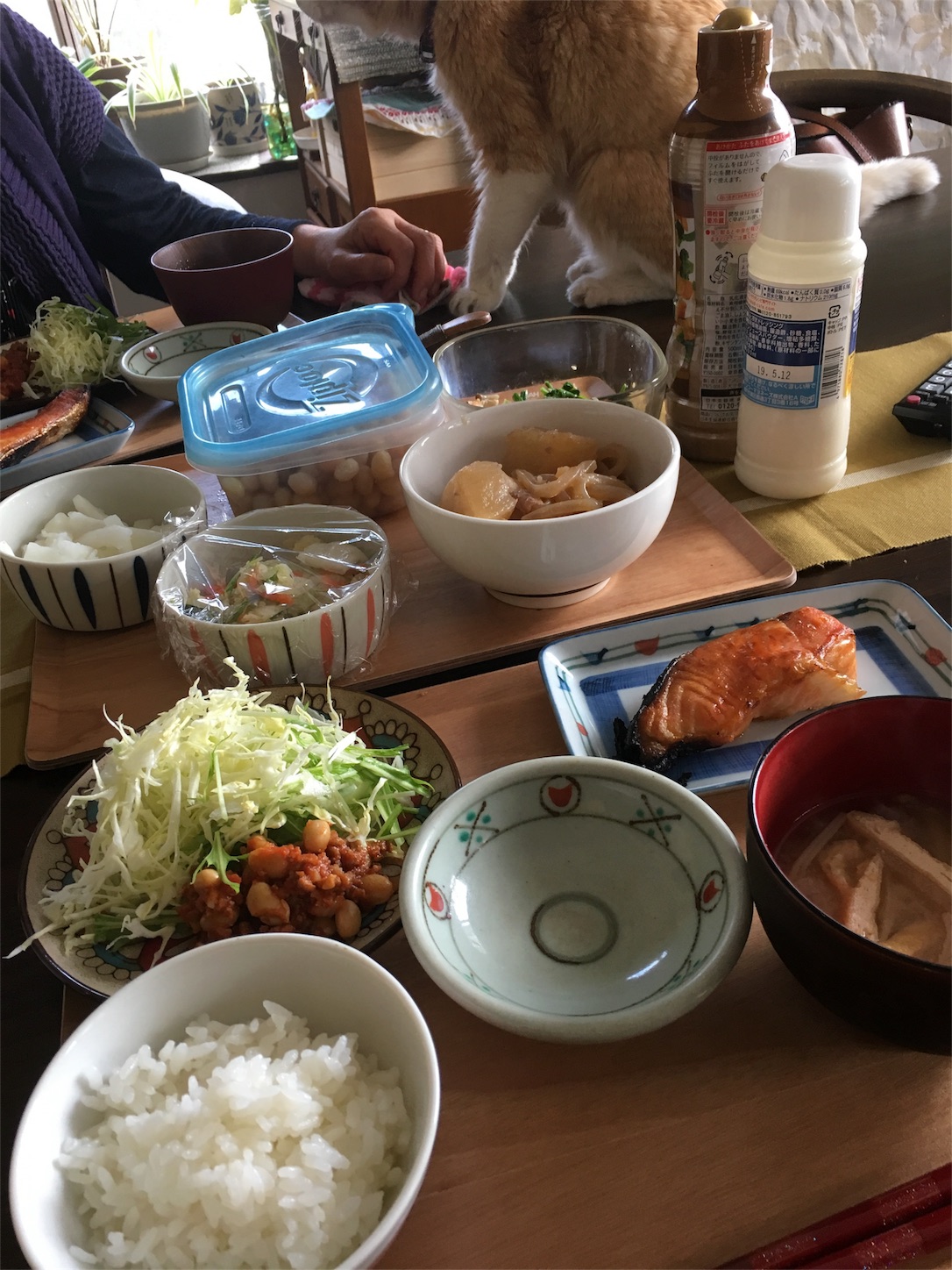 f:id:nekobacafe:20190207030920j:image f:id:nekobacafe:20190207030920j:image