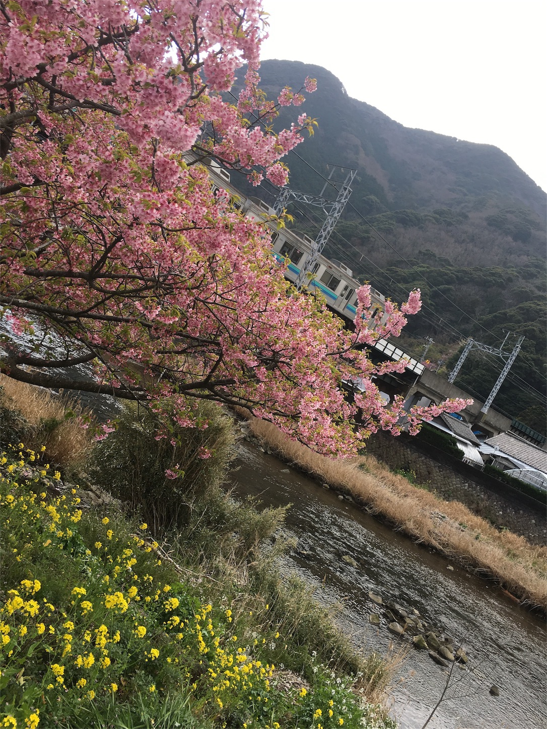 f:id:nekobacafe:20190306202203j:image f:id:nekobacafe:20190306202203j:image