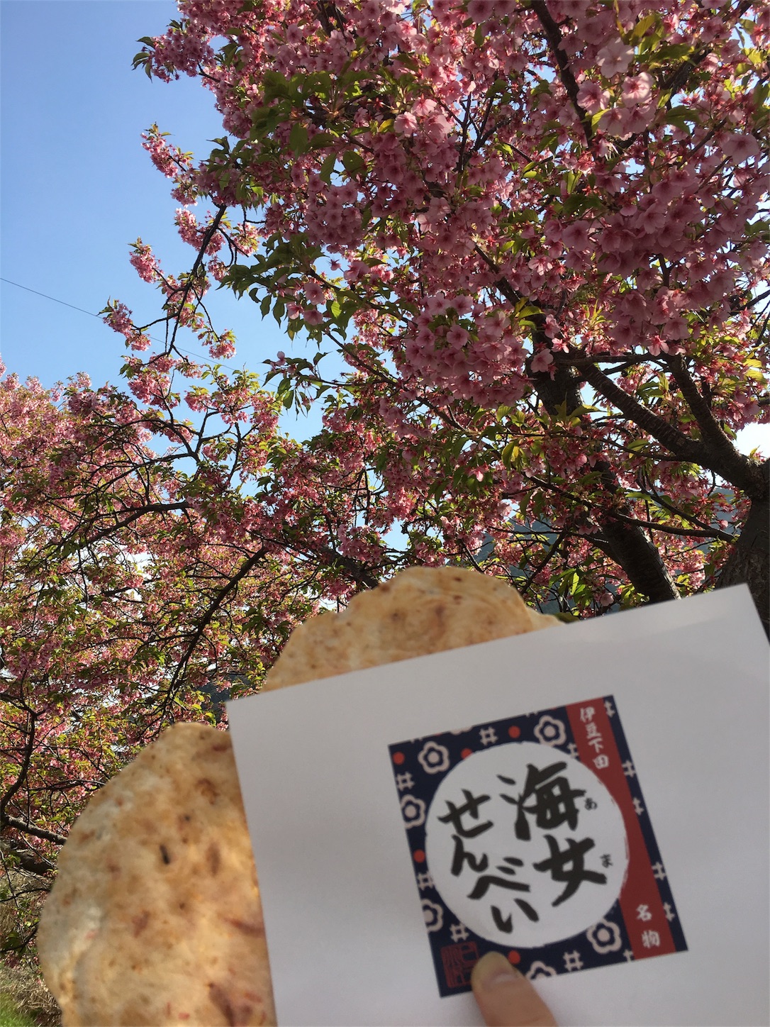 f:id:nekobacafe:20190306202654j:image f:id:nekobacafe:20190306202654j:image