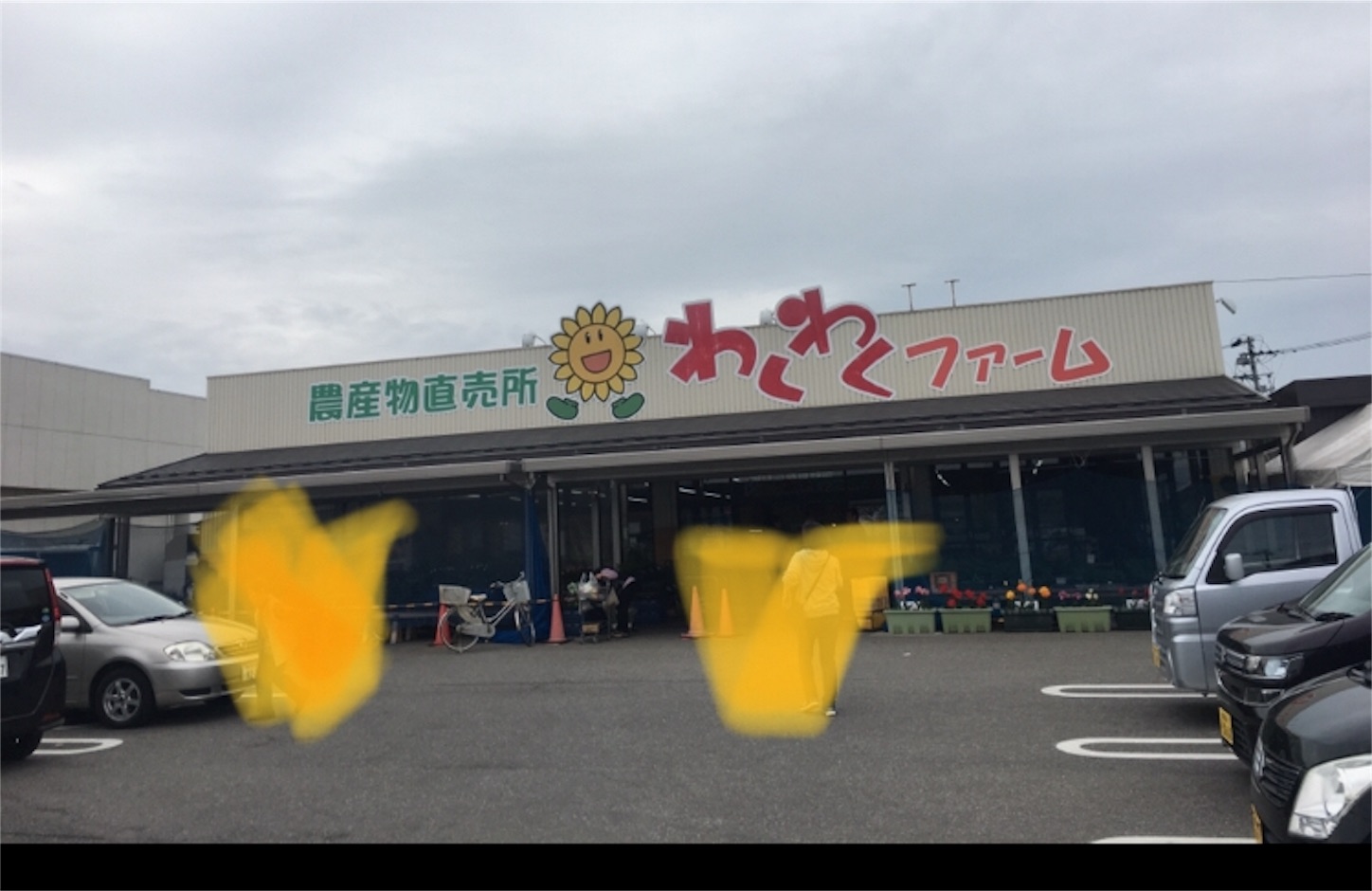 f:id:nekobacafe:20190426055544j:image