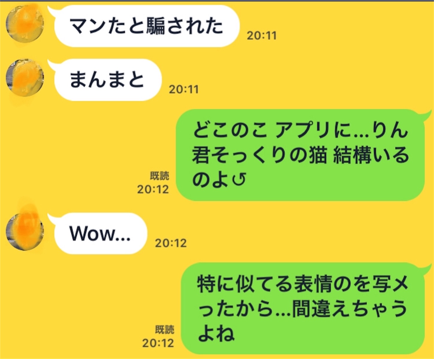 f:id:nekobacafe:20190521213533j:image