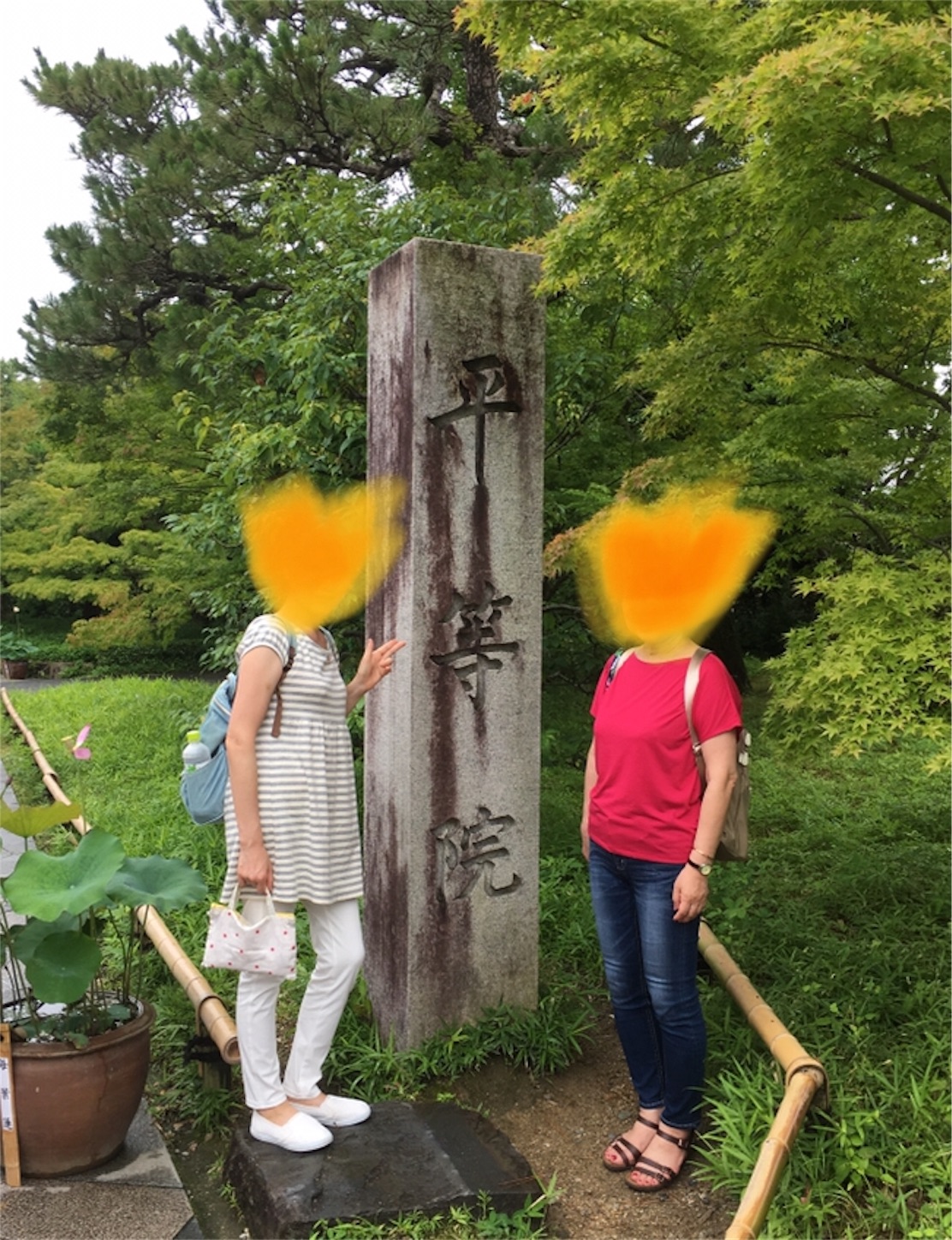 f:id:nekobacafe:20190726152415j:image