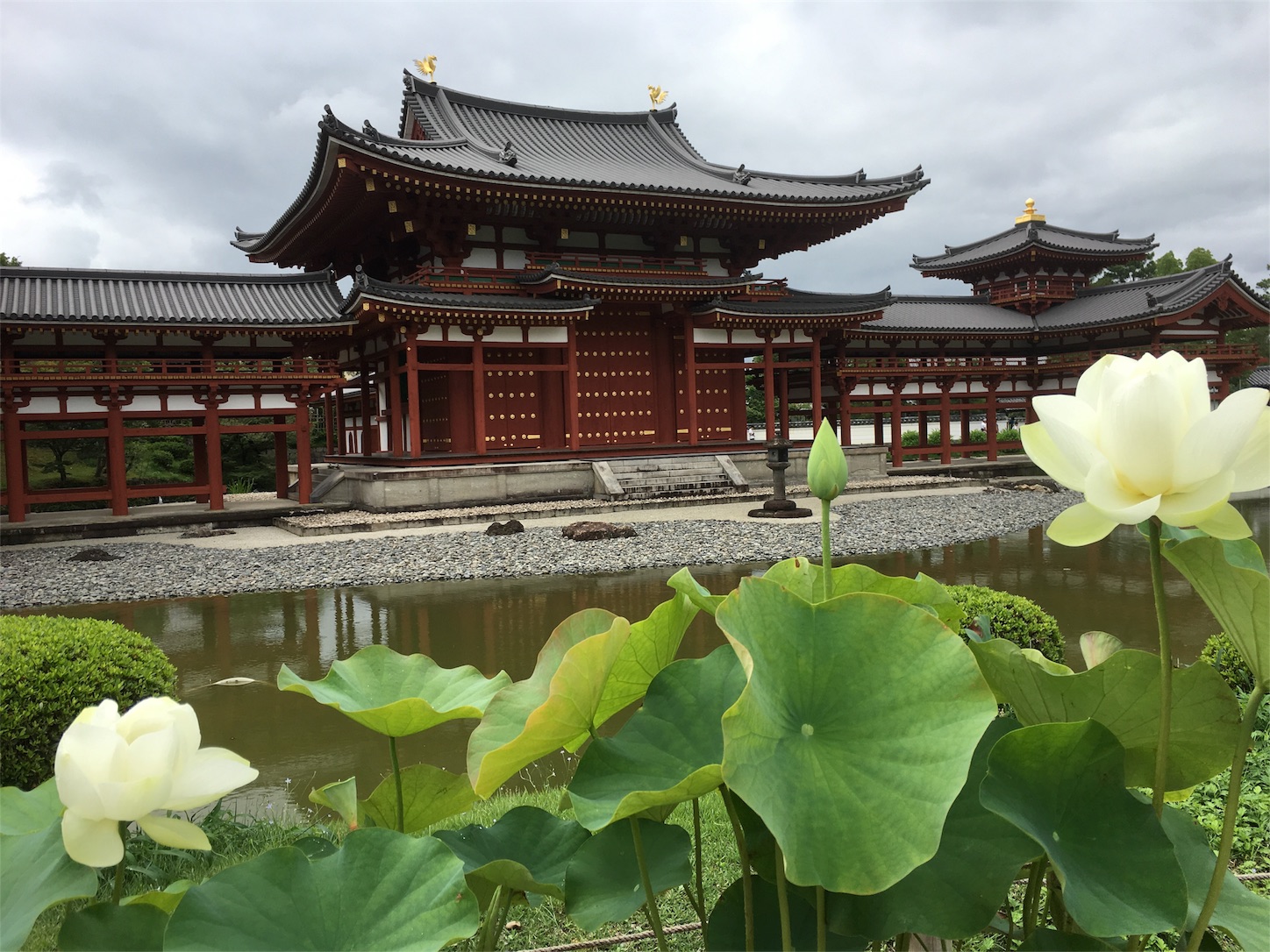f:id:nekobacafe:20190726152505j:image