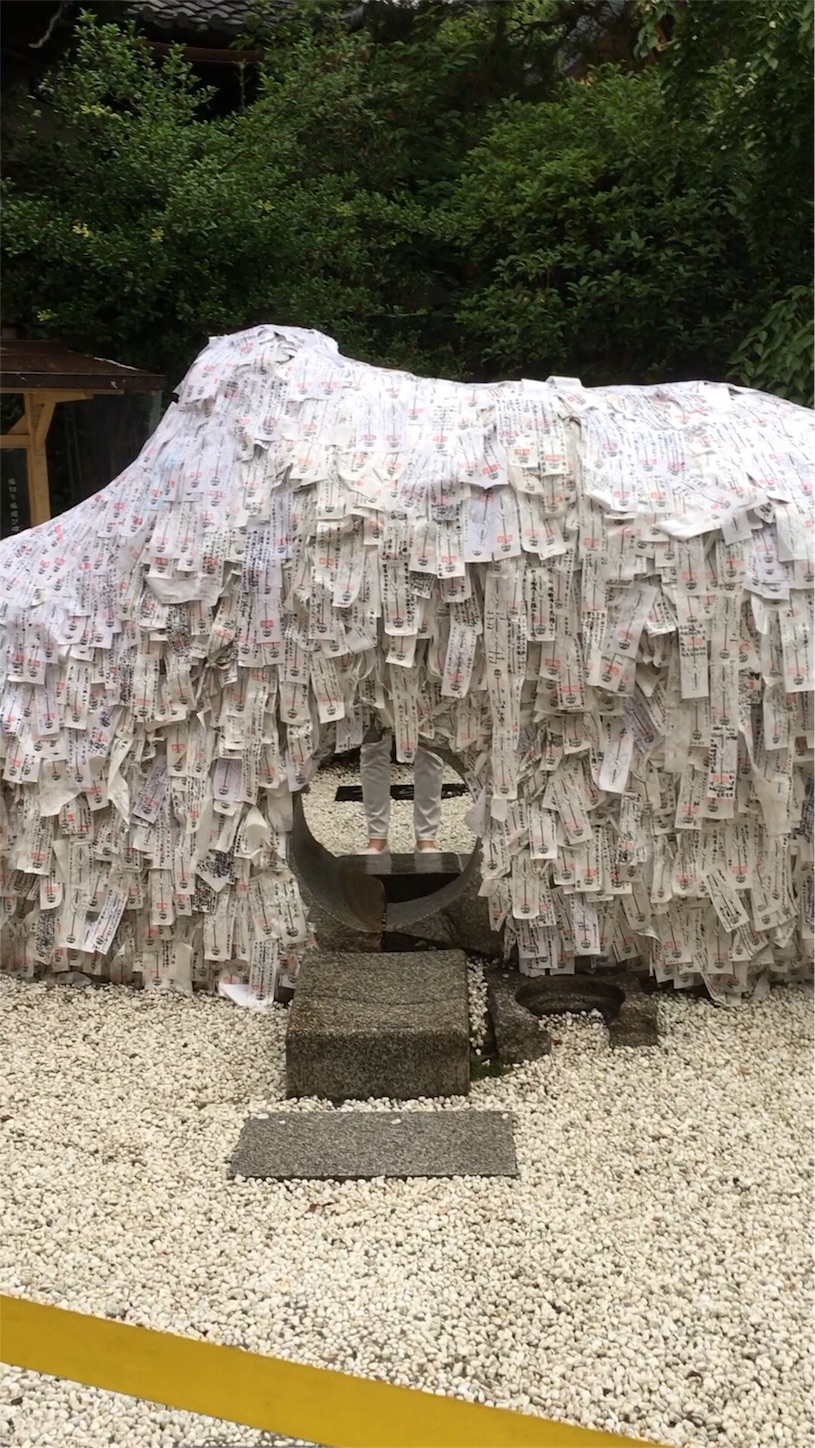 f:id:nekobacafe:20190726215121j:image