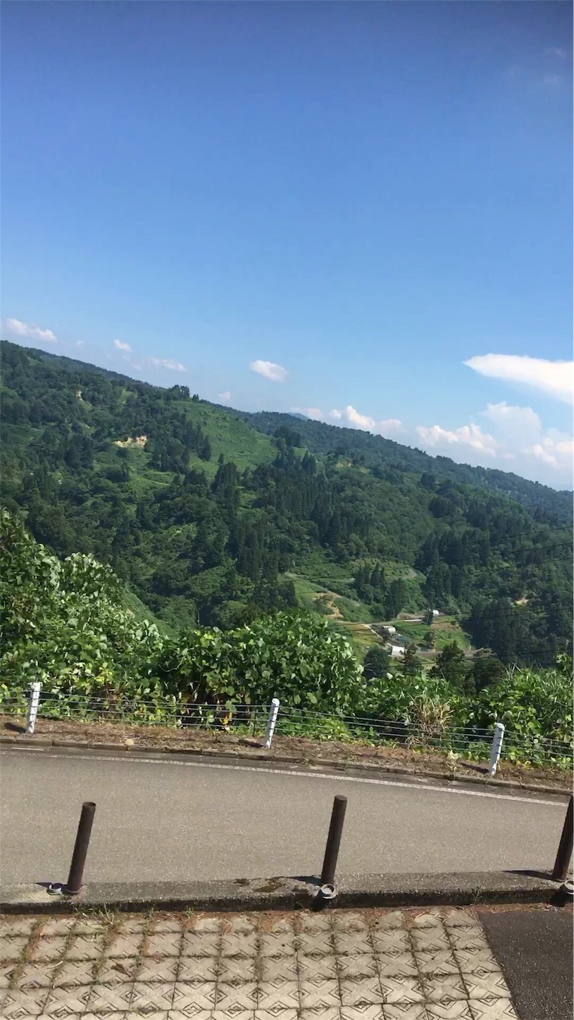 f:id:nekobacafe:20190830090549j:image