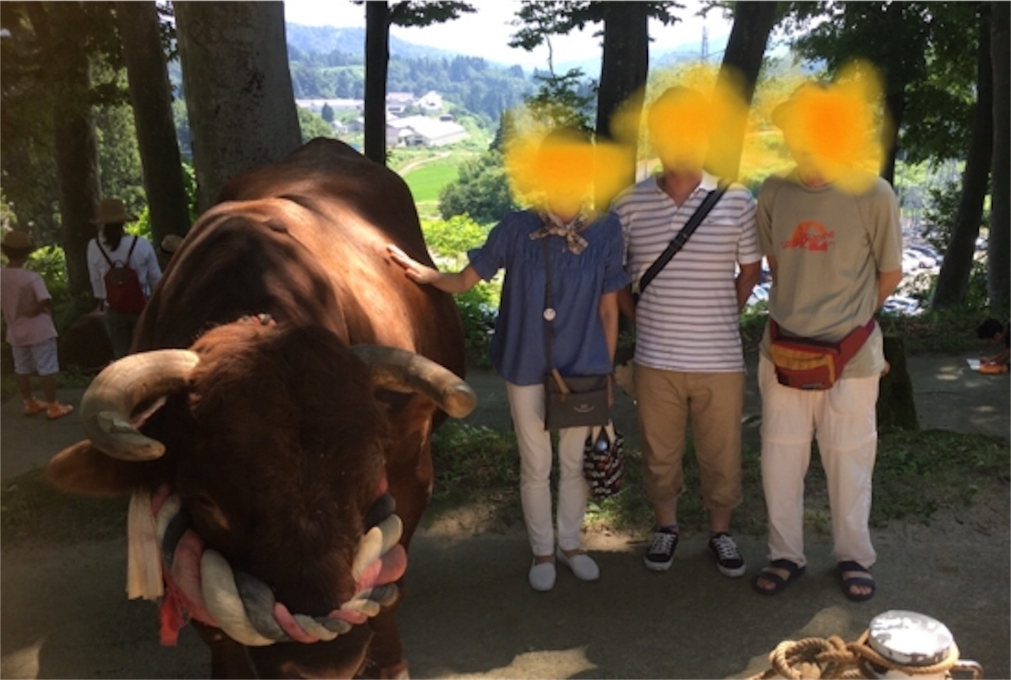 f:id:nekobacafe:20190830104103j:image