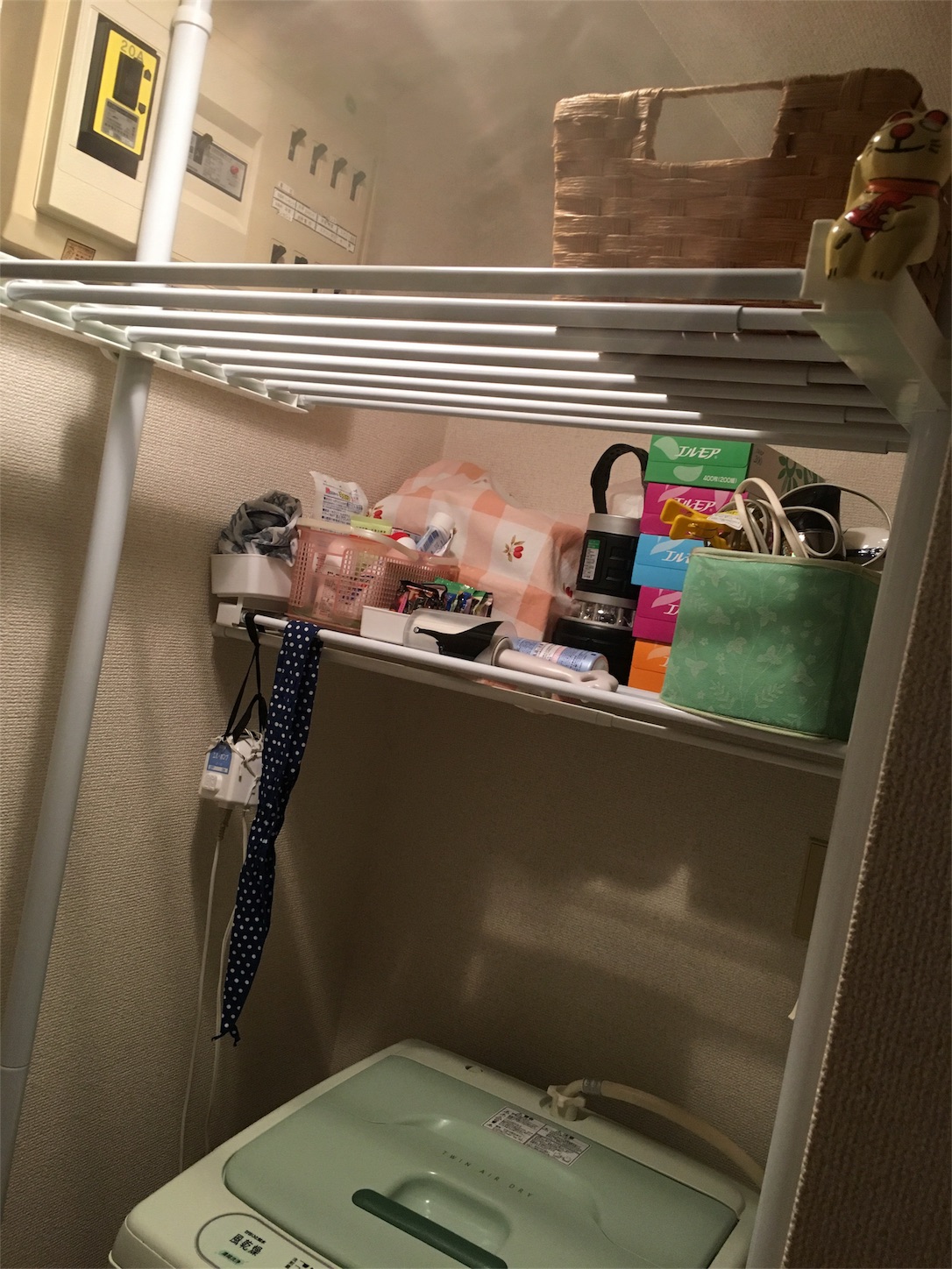 f:id:nekobacafe:20191014233004j:image