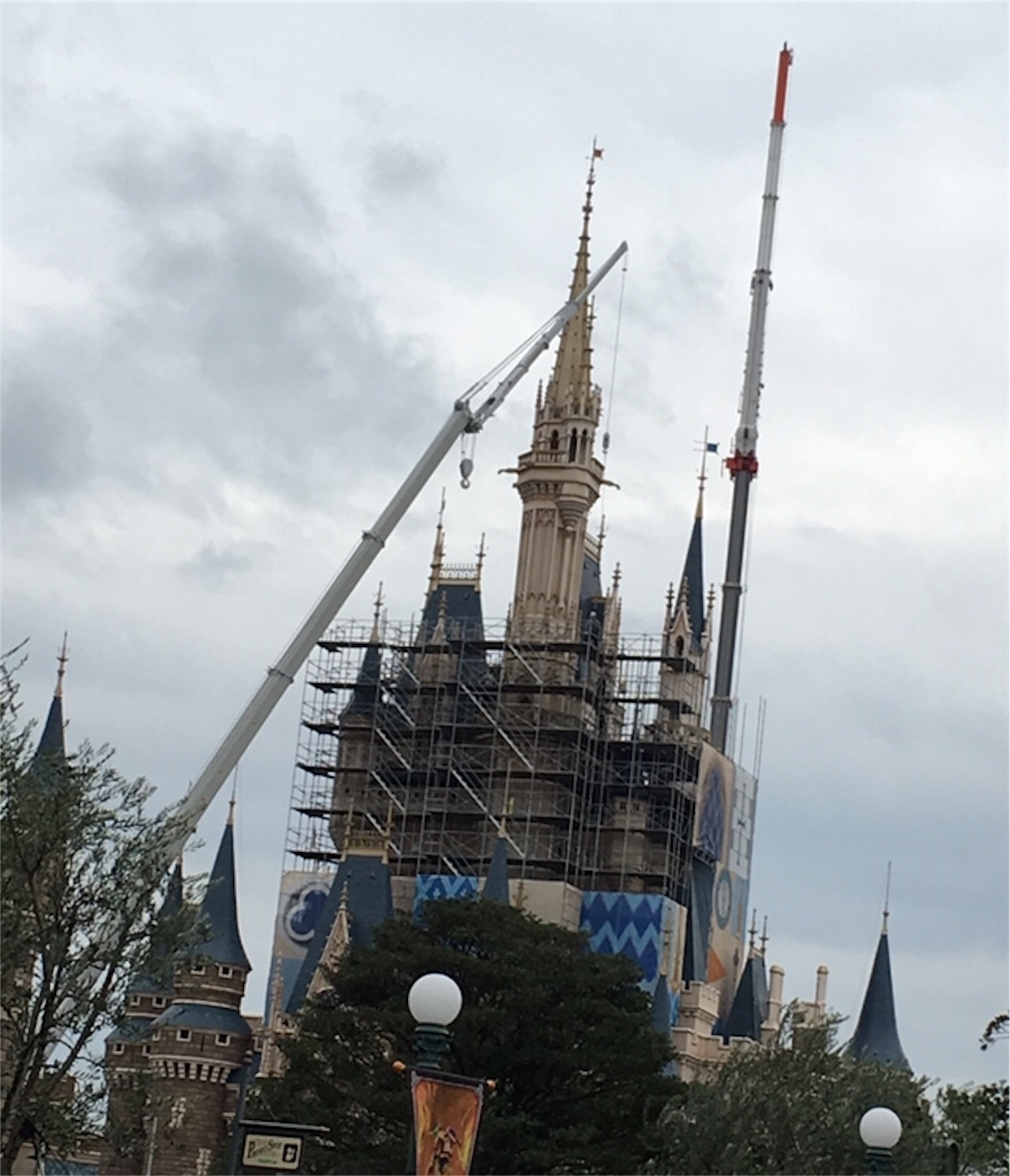 f:id:nekobacafe:20191112113331j:image