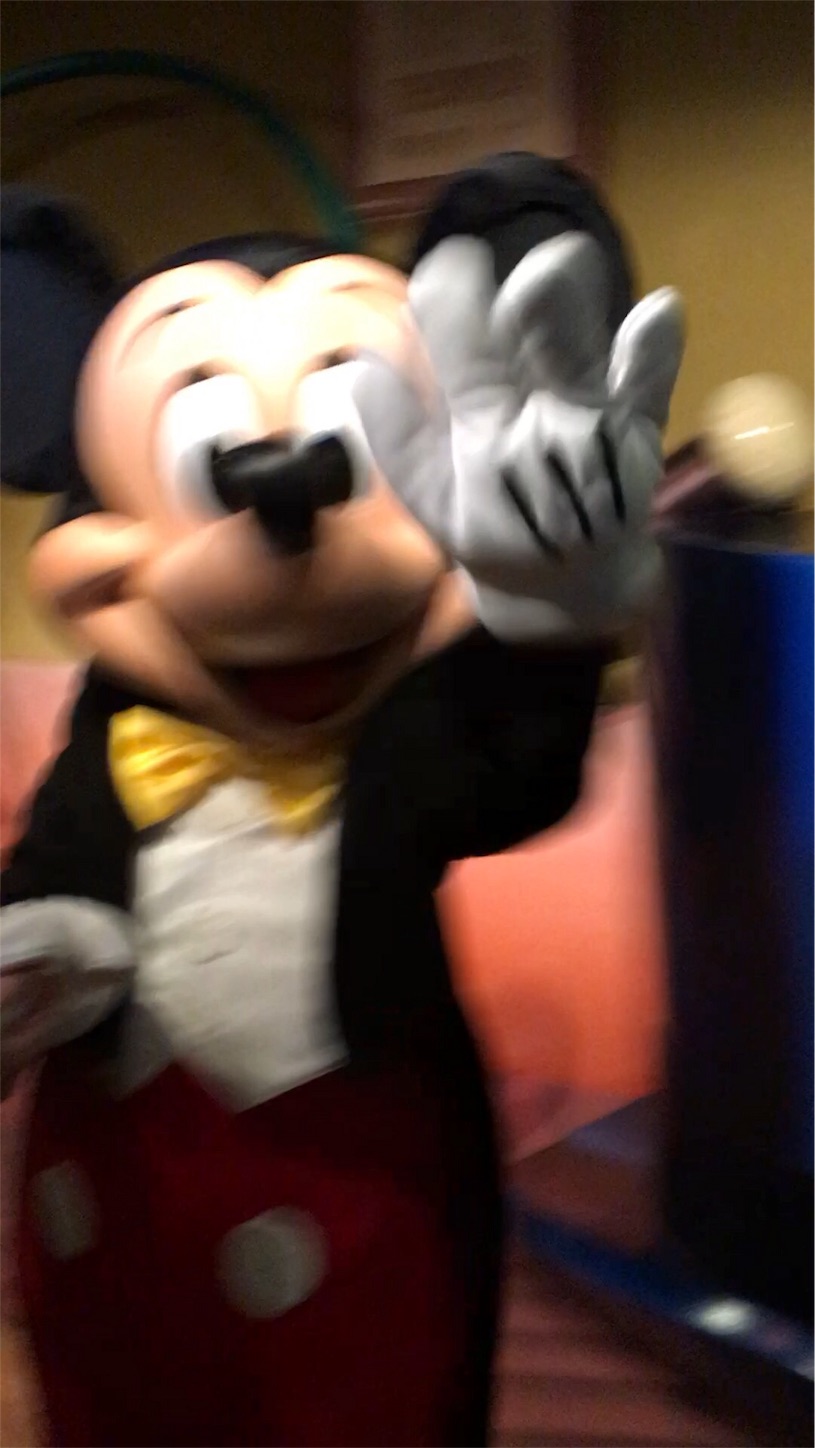 f:id:nekobacafe:20191114142841j:image