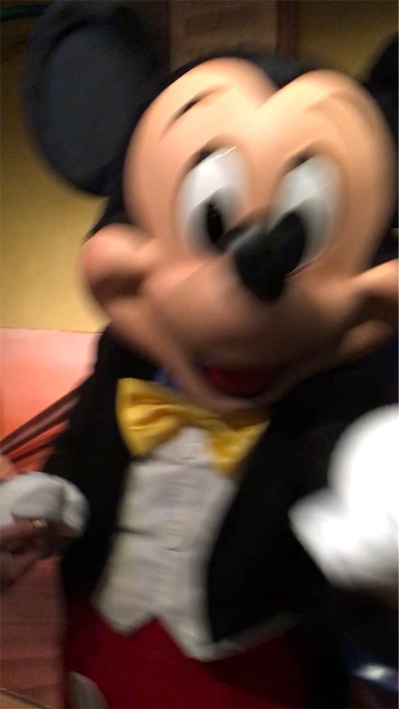 f:id:nekobacafe:20191114142847j:image