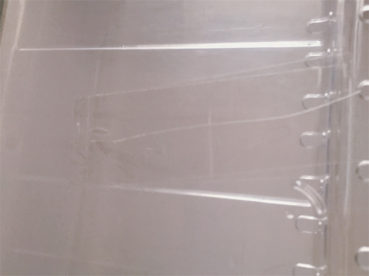 f:id:nekobacafe:20191116005611j:image