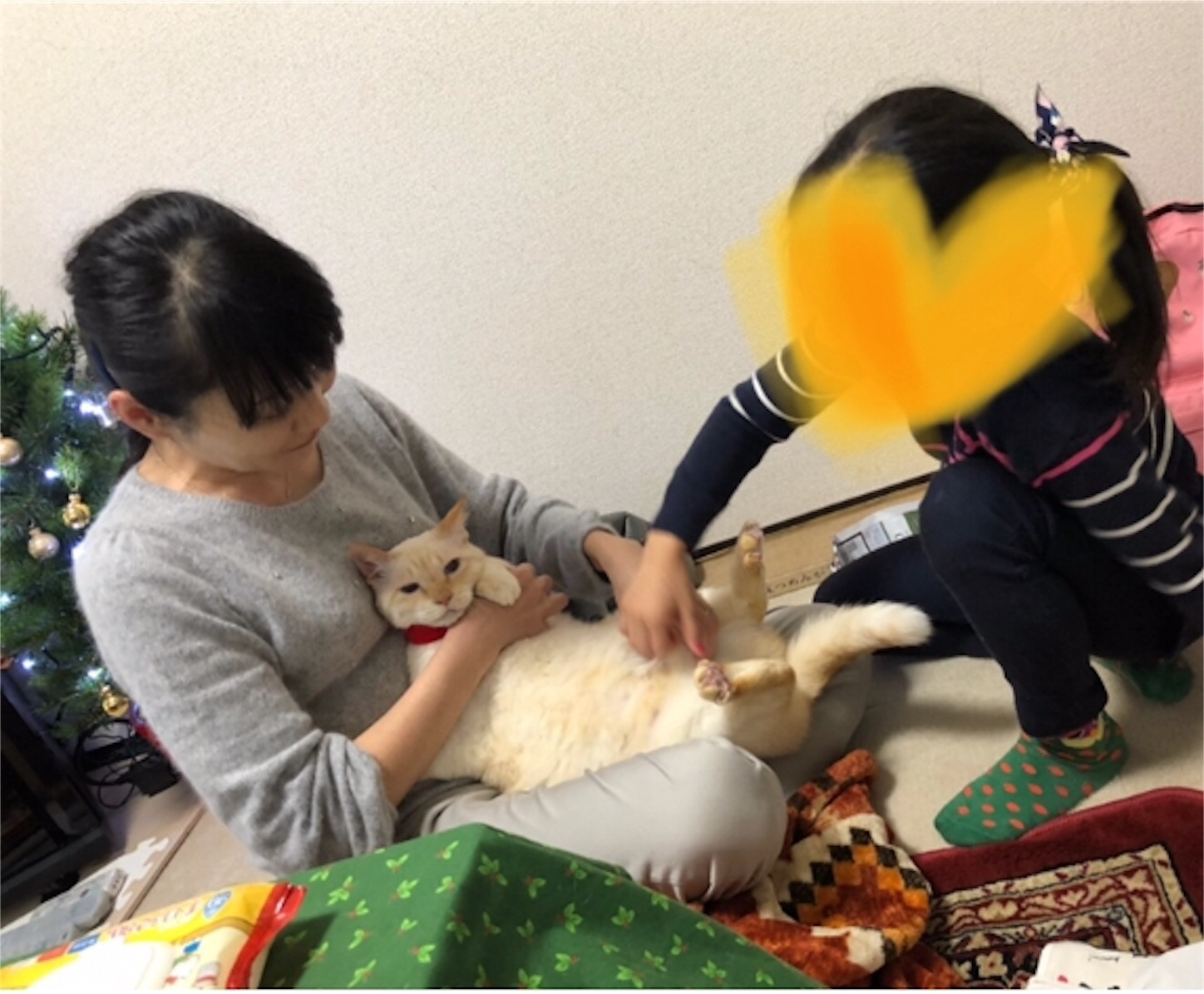 f:id:nekobacafe:20191208225337j:image