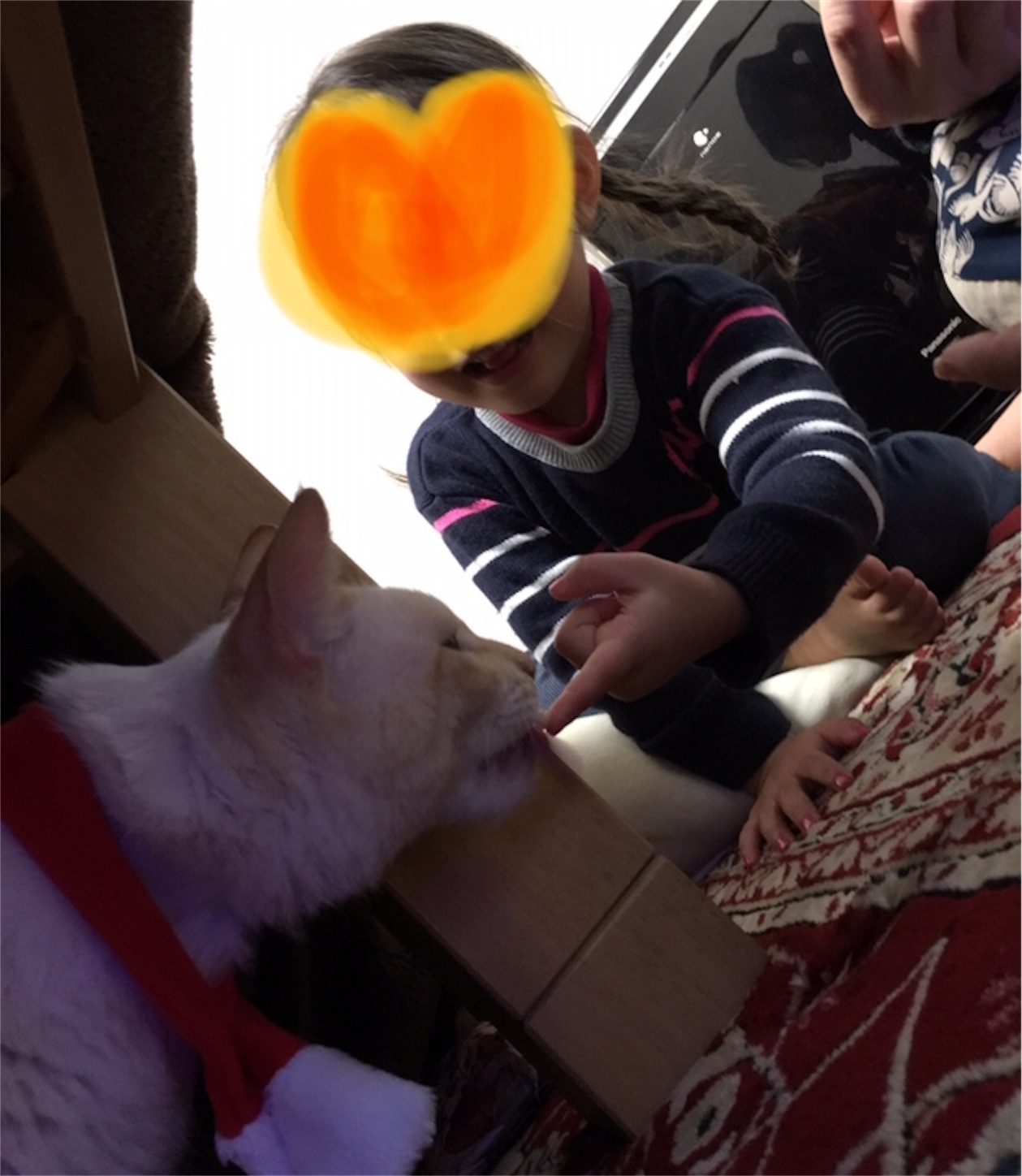 f:id:nekobacafe:20191209214707j:image