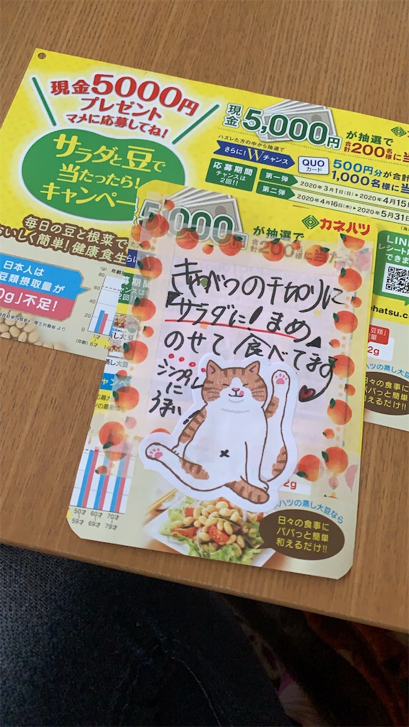 f:id:nekobacafe:20200316094737j:image