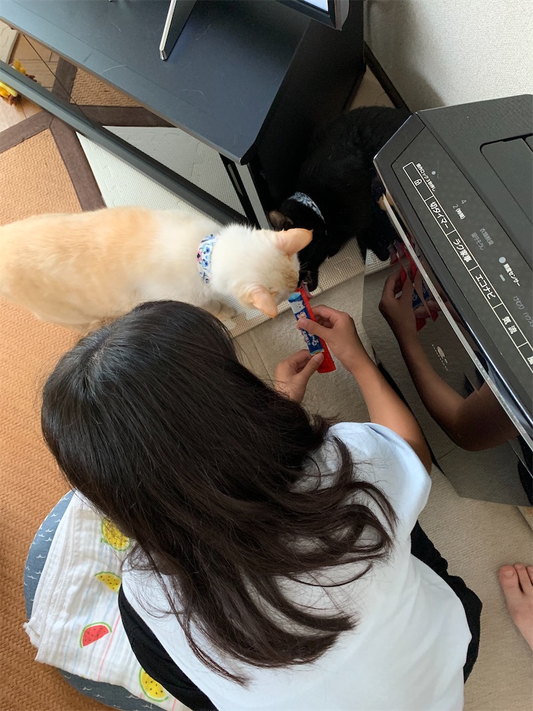 f:id:nekobacafe:20200913195923j:image