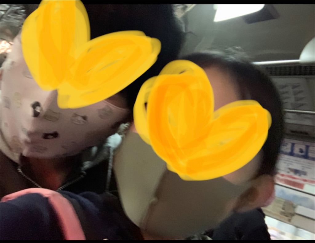 f:id:nekobacafe:20201129161425j:image