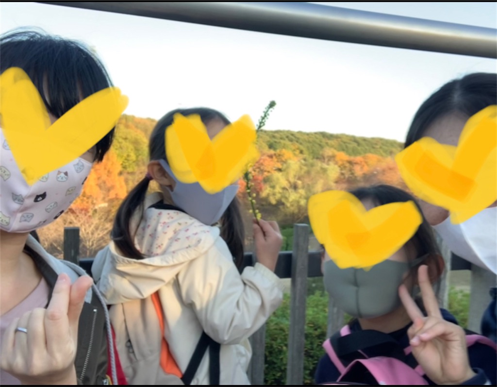 f:id:nekobacafe:20201129175202j:image