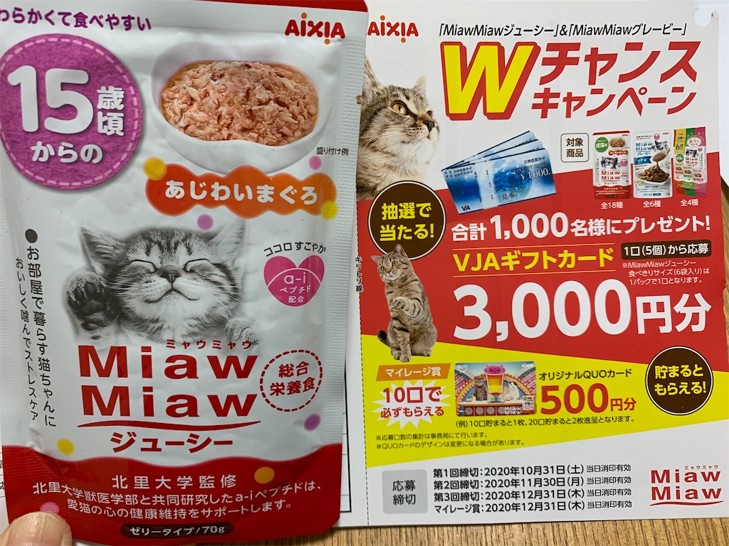 f:id:nekobacafe:20201203100854j:image f:id:nekobacafe:20201203100854j:image