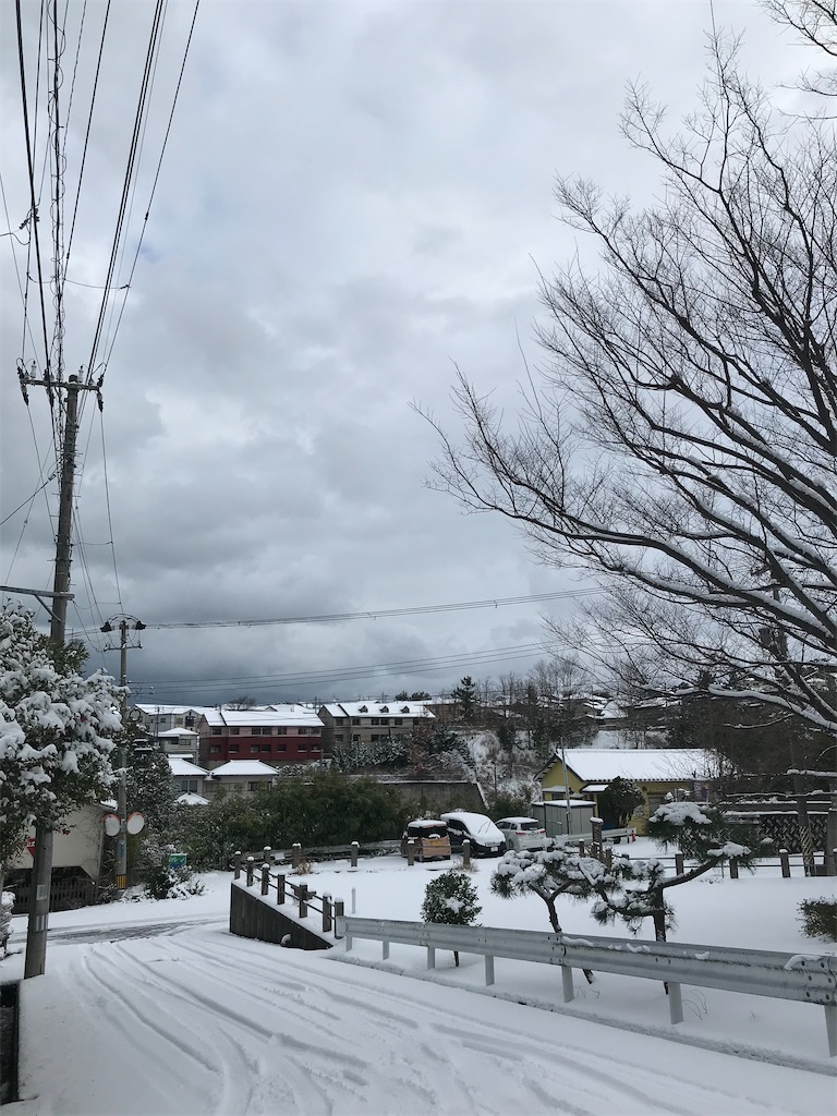 f:id:nekobacafe:20210101135155j:image