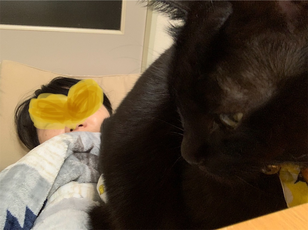 f:id:nekobacafe:20210111214238j:image
