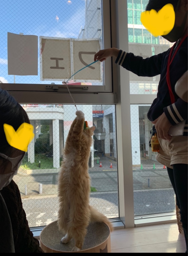 f:id:nekobacafe:20210430213451j:image