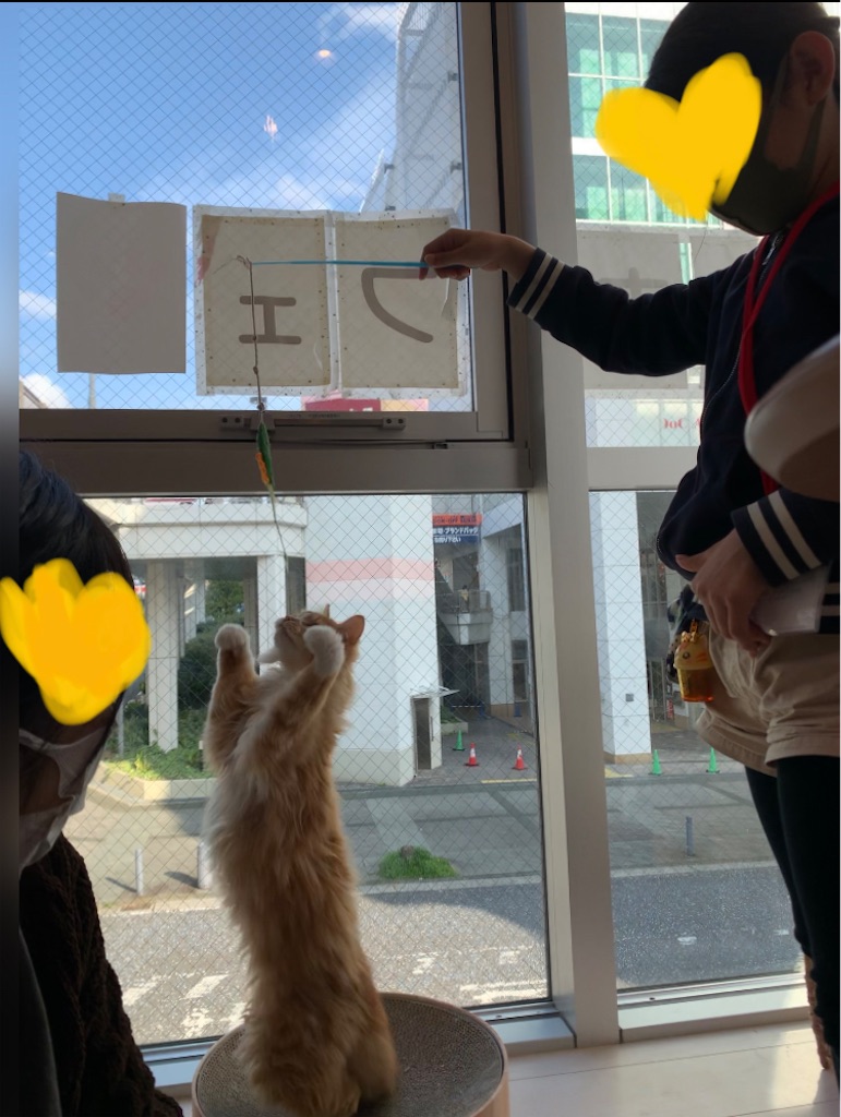 f:id:nekobacafe:20210430213454j:image