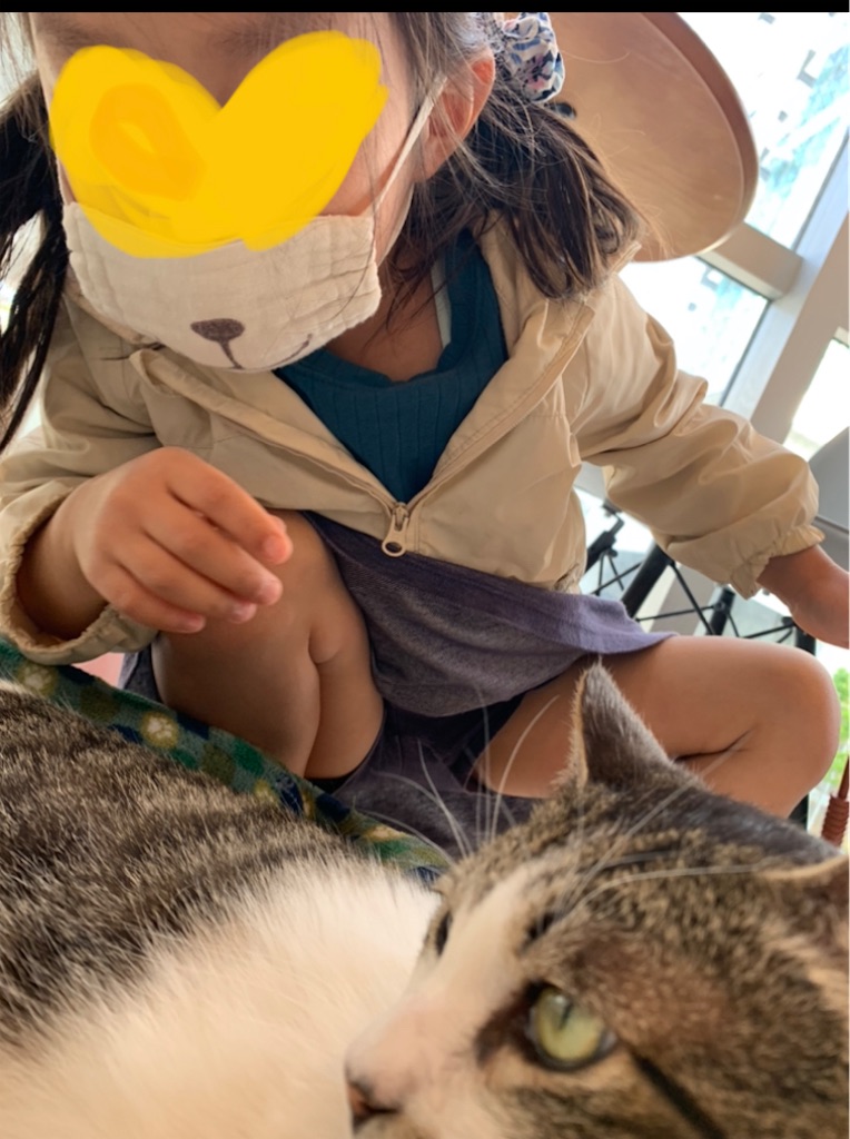 f:id:nekobacafe:20210430213457j:image