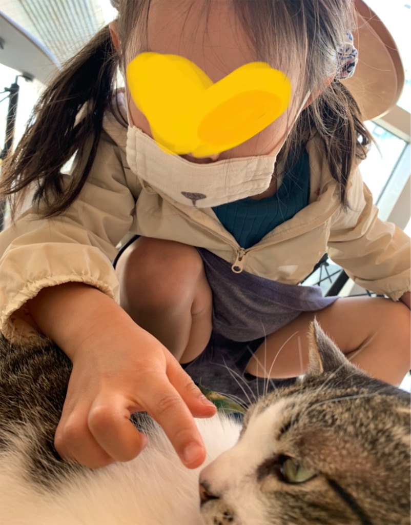 f:id:nekobacafe:20210430213507j:image