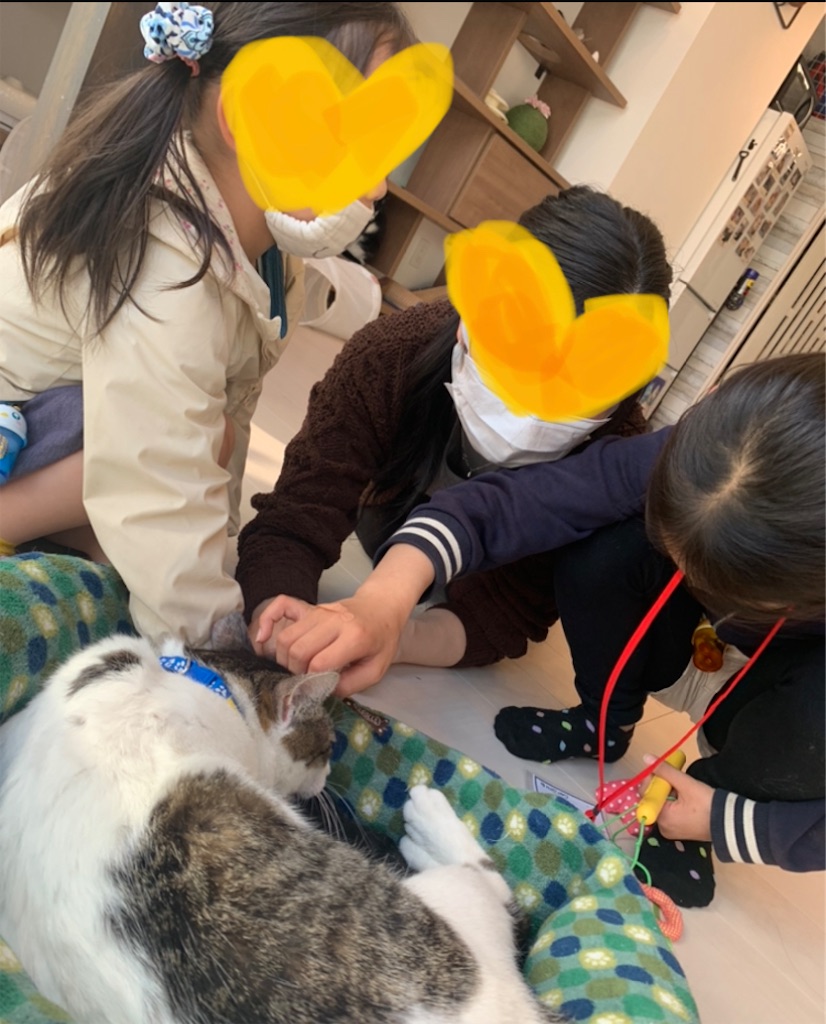 f:id:nekobacafe:20210430213805j:image