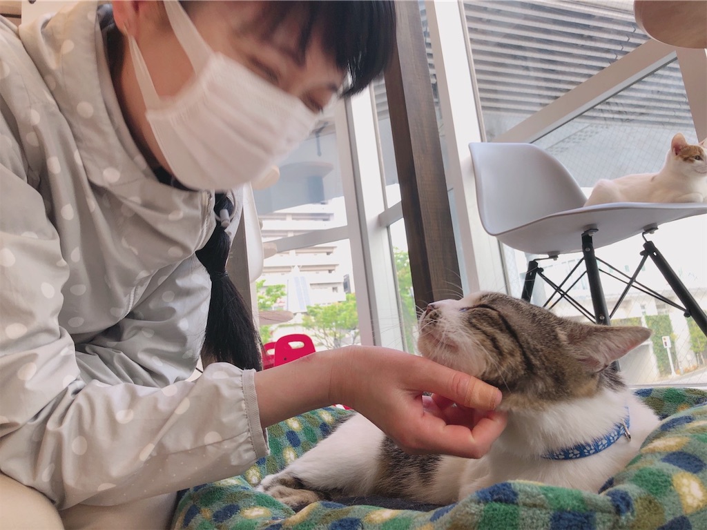 f:id:nekobacafe:20210430213834j:image