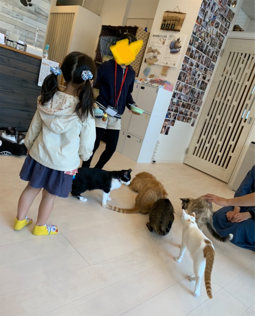 f:id:nekobacafe:20210430222425j:image