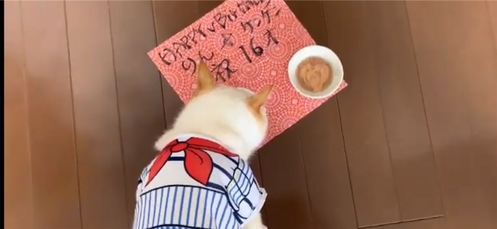 f:id:nekobacafe:20210822191829j:image f:id:nekobacafe:20210822191829j:image