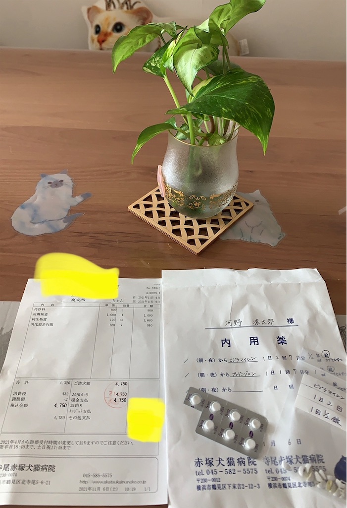 f:id:nekobacafe:20211106130953j:image