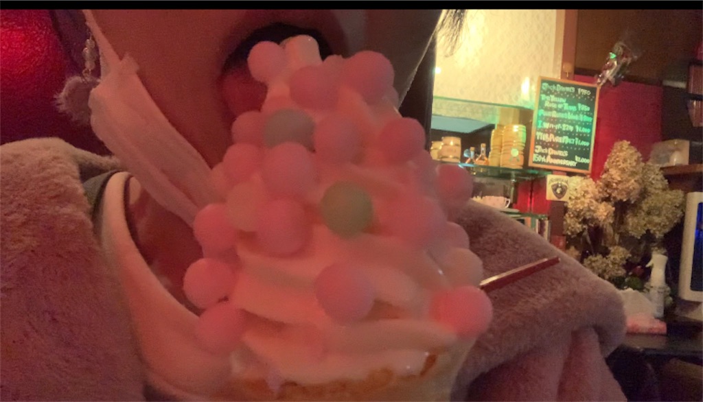 f:id:nekobacafe:20211205013311j:image