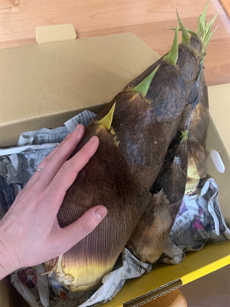 f:id:nekobacafe:20220508201711j:image f:id:nekobacafe:20220508201711j:image