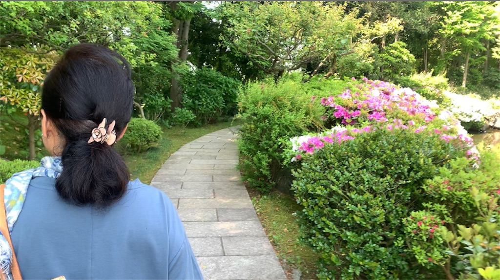 f:id:nekobacafe:20220525090816j:image