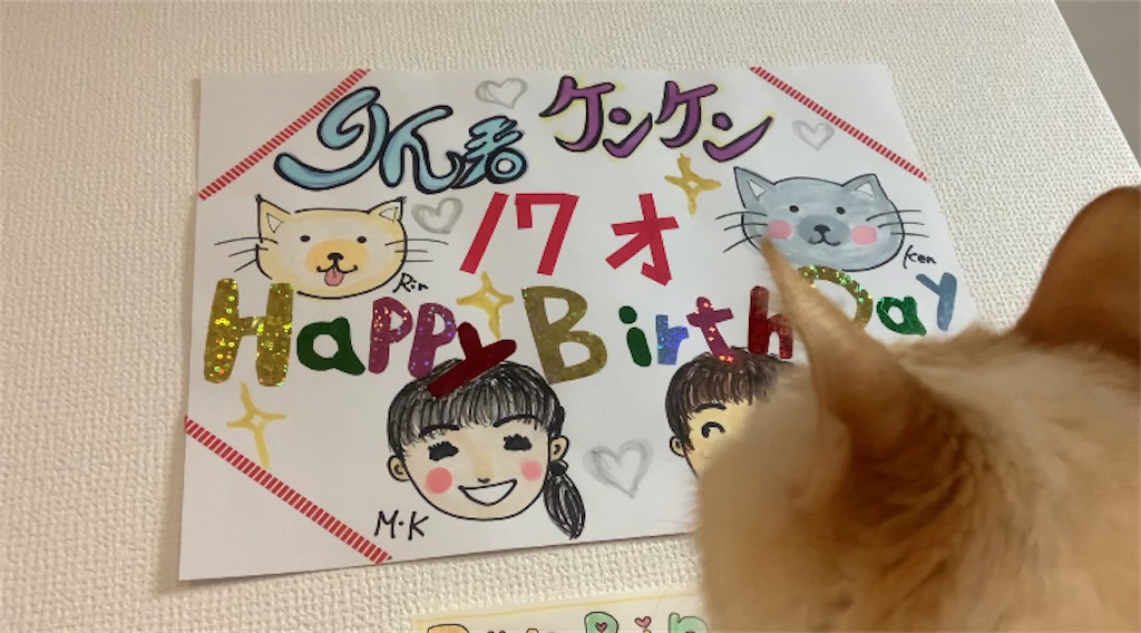 f:id:nekobacafe:20220816101258j:image f:id:nekobacafe:20220816101258j:image