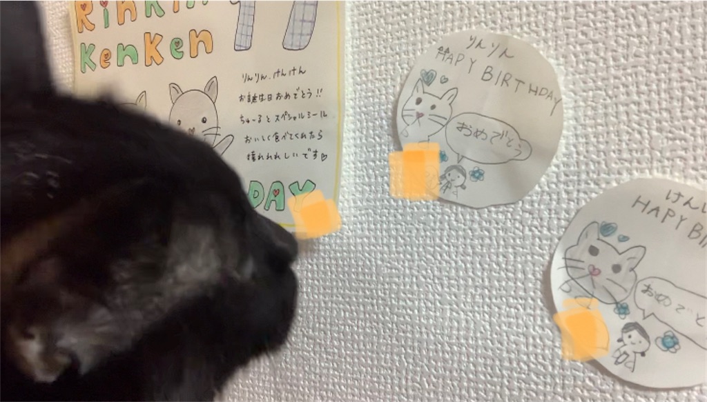 f:id:nekobacafe:20220816101301j:image f:id:nekobacafe:20220816101301j:image