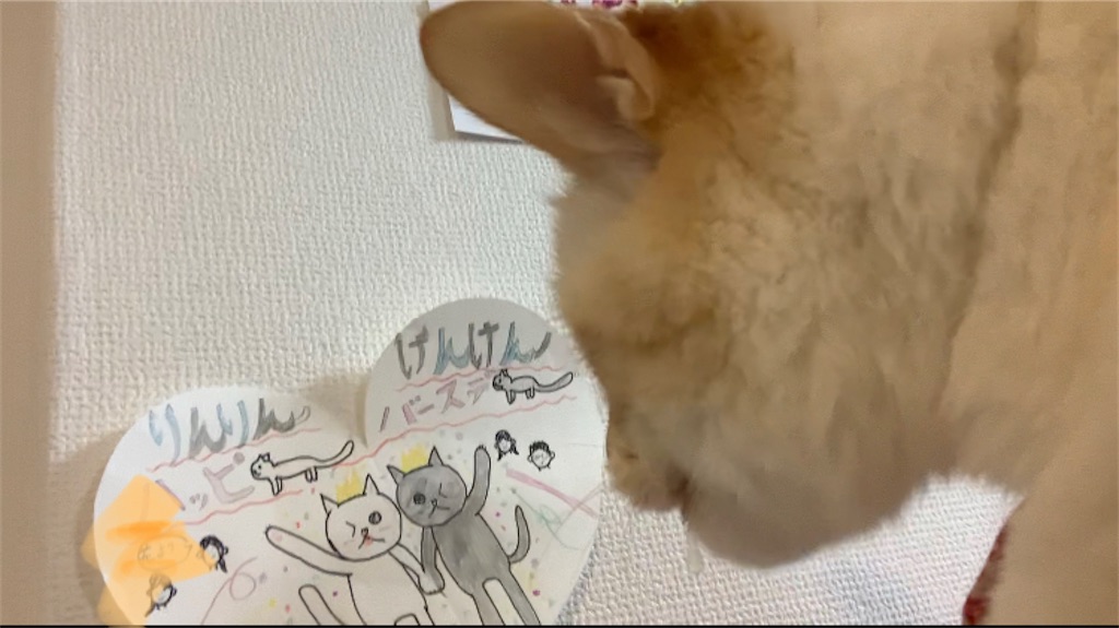 f:id:nekobacafe:20220816101305j:image f:id:nekobacafe:20220816101305j:image