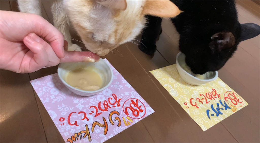 f:id:nekobacafe:20220816101611j:image f:id:nekobacafe:20220816101611j:image