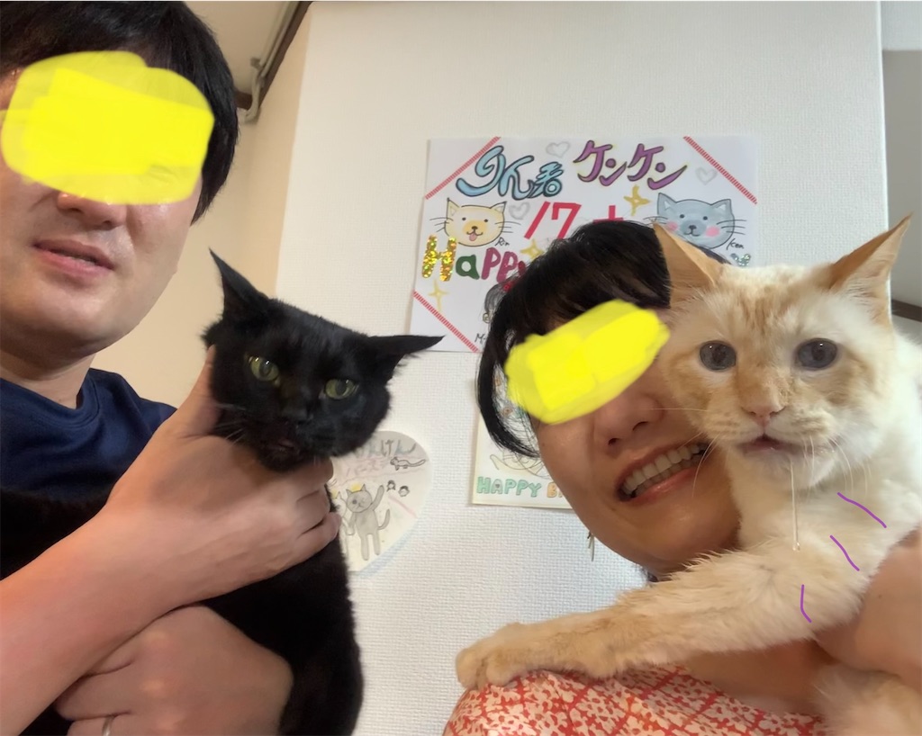 f:id:nekobacafe:20220816124205j:image f:id:nekobacafe:20220816124205j:image