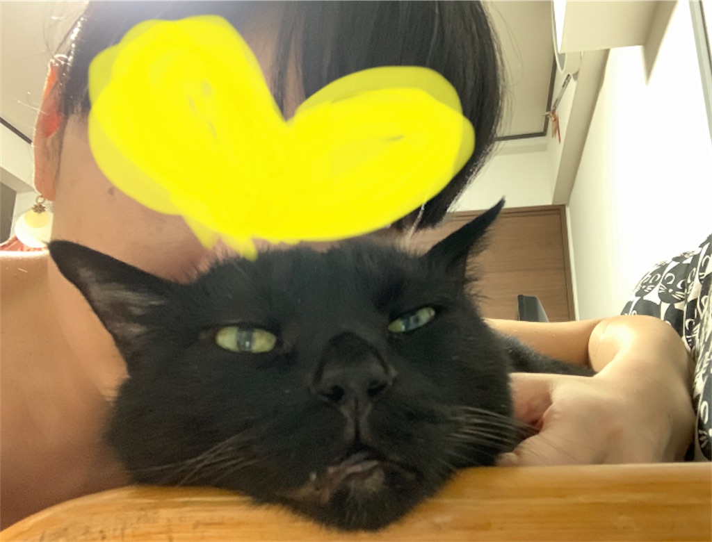 f:id:nekobacafe:20220816140926j:image f:id:nekobacafe:20220816140926j:image