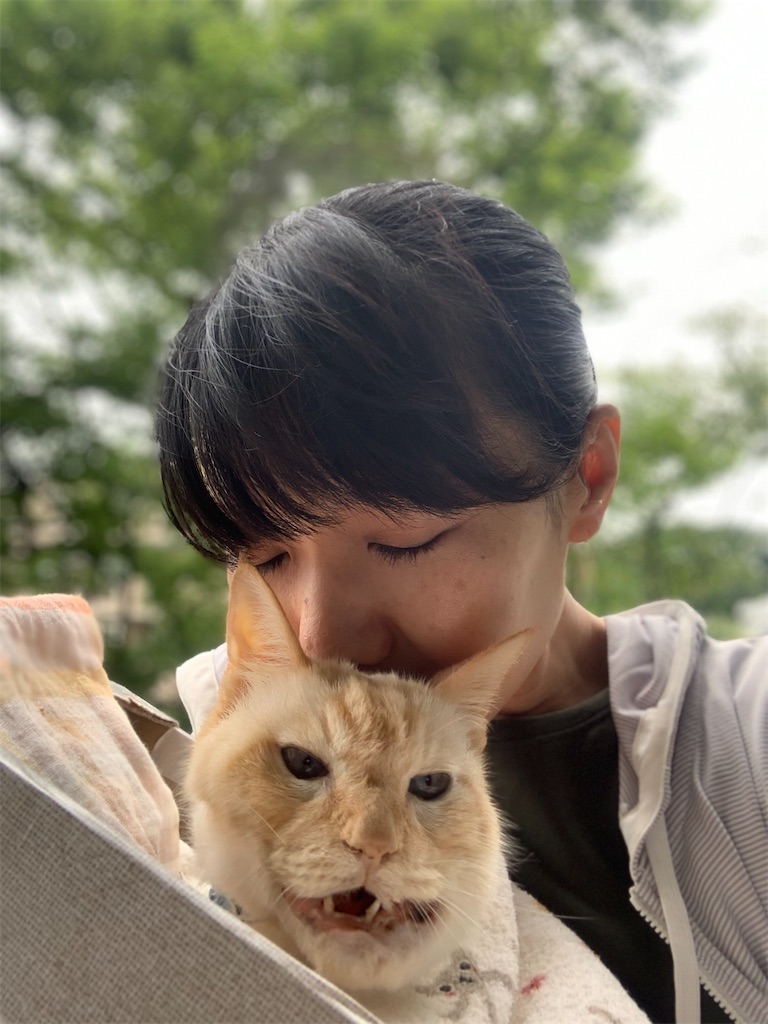 f:id:nekobacafe:20221019040116j:image
